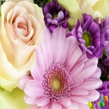 Tranh dán tường phòng ngủ Hàn Quốc đẹp FW - 045